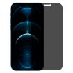 Picture of For iPhone 12 Pro Max NORTHJO A++ 0.3mm 28 Degree Privacy Screen Tempered Glass Film