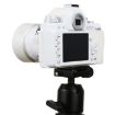 Picture of Non-Working Fake Dummy DSLR Camera Model DF Model Room Props Ornaments Display Photo Studio Camera Model Props, Color:White (With Hood)