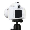 Picture of Non-Working Fake Dummy DSLR Camera Model DF Model Room Props Ornaments Display Photo Studio Camera Model Props, Color:White (Without Hood)