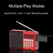 Picture of TEMEIYIN LED Digital Display Card Bluetooth Radio Speaker Morning Exercise Portable Player, Color: Red