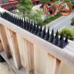 Picture of 12 PCS Plastic Bird Repellent Thorns Fence Anti-climb Nails (Black)