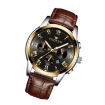 Picture of FNGEEN 4006 Men Trendy Waterproof Quartz Watch (Brown Leather Gold Black Surface)