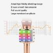 WS-858L LED Wireless Microphone - Rose Gold - 5