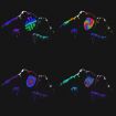 Picture of Halloween Festival Party Gesture Sensing LED Luminescence Mask