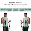 Picture of E1107 11 in 1 100lbs Natural Latex Five-point Buckle Household Pull Rope Resistance Band Fitness Equipment Set