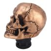 Picture of Universal Skull Head Shape Resin ABS Manual or Automatic Gear Shift Knob Fit for All Car