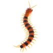 Picture of Remote Control Animal Centipede Creepy-crawly Prank Funny Toys Gift for Kids, Color Random Delivery