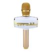 Picture of H9 Handheld KTV Karaoke Mic - High Sound Quality, RGB Lights, Bluetooth, Wireless - For PC, Speaker, iPad, iPhone (Gold)