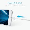 ANKER PowerLine II USB to 8 Pin MFI Charging Data Cable - 6