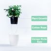 Picture of Self Watering Hydroponic Flower Pots - 9cm Diameter, 9cm Height (White)