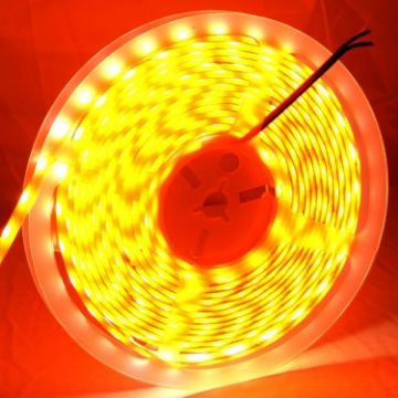 Picture of 14W LED Rope Light, Epoxy Waterproof 5050 SMD, 60 LED/M, Length: 5m (Orange)