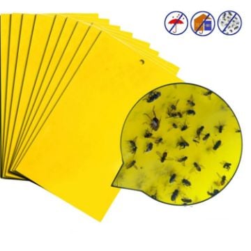 Picture of Double-sided Stick Insect Board Yellow Board Melon Fruit Fly Trap Board