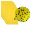 Picture of Double-sided Stick Insect Board Yellow Board Melon Fruit Fly Trap Board