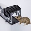 Picture of Door Humane Animal Live Cage, Rat, Mouse and More Small Rodents ABS Material Transparent Trap Cage