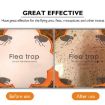 Household Flea Traps Insect Trap Lamp AU Plug - 5