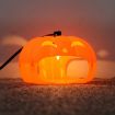 Household Flea Traps Insect Trap Lamp AU Plug - 8