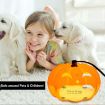 Household Flea Traps Insect Trap Lamp - 4