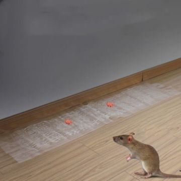 Picture of Anti-rodent Strong Sticky Board Transparent Sticky Mouse with Mousetrap Glue