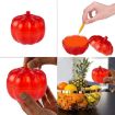 SK116 2pcs Small Pumpkin Fruit Fly Traps - Red - 6