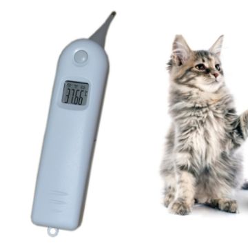 Picture of Large Screen Electronic Fast Veterinary Thermometer (As Show)