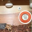 Digital Reptile Box Thermometer & Hygrometer - Orange - 1