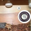 Digital Reptile Box Thermometer & Hygrometer - Black - 1