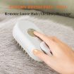 Picture of Pet Electric Spray Comb Rechargeable Cat Steamy Grooming Brush Cleaning Tool (White)
