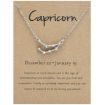 Picture of 12 Zodiac Signs With Diamonds Necklace Card Rhinestones Collarbone Chain Pendant, Style: Capricorn Silver