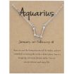 Zodiac Signs Diamonds Necklace Aquarius Silver Pendant - 1