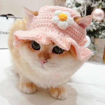Picture of Pet Headgear Props Cats And Dogs Knitted Hat Headwear, Size: S (Pink Flower)