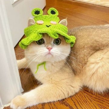 Picture of Pet Headgear Props Cats And Dogs Knitted Hat Headwear, Size: M (Frog Hat)