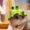 Picture of Pet Headgear Props Cats And Dogs Knitted Hat Headwear, Size: S (Frog Hat)