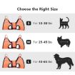 Small Pet Grooming Hammock Cats Dog Clipping Nail Holder Hanger - 8