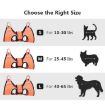 Picture of Medium Pet Grooming Hammock Cats Dog Clipping Nail Holder Hanger Type Feeding Anti-Scratch Artifacts