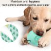 Picture of Pet Dogs Bite Resistant Educational Toys Outdoor Anti-Choking Teething Food Leakage Balls (Sky Blue)