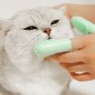 Picture of 2pcs Pet Teeth Cleaning Dual Finger Toothbrush Dogs And Cats Oral Cleaning Tools (Blue Green)