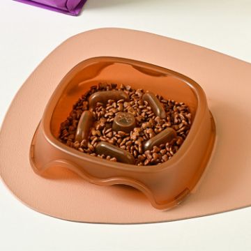 Picture of Square Light Transparent Slow Food Pet Bowl Dog Food Cat Food Bowl (Orange)