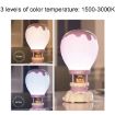 Picture of Cartoon Balloon Shape USB Charging Eye Protection LED Night Light Bedroom Reading Table Lamp, Color: Pink