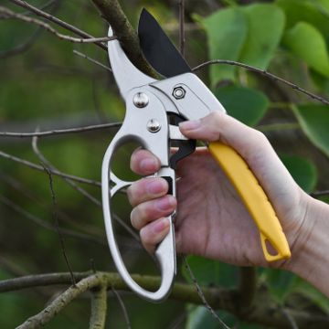 Picture of Pruning Shears Clippers for Gardening Tree Plant Floral Trimming
