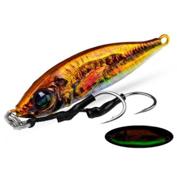PROBEROS LF136 Fishing Lure 3D Spray Painted Imitation Bait 60g - 1