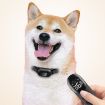 Picture of Pet Dog Training Anti-barking Collar Smart Remote Control (Random Color Delivery)