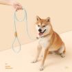 Picture of 1.5m x 0.6cm Dog Traction Rope Mid Large Dog Universal Safety Buckle Chain Circle (Red White)