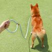 Picture of 1.5m x 0.6cm Dog Traction Rope Mid Large Dog Universal Safety Buckle Chain Circle (Red White)
