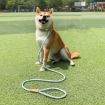 Picture of 1.8m x 0.8cm Dog Traction Rope Mid Large Dog Universal Safety Buckle Chain Circle (Brown)