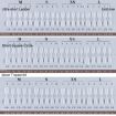 10 Pairs of Frosted False Nails - Ultra-short Ladder L - 7