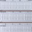 10 Pairs of Frosted False Nails - Ultra-short Ladder L - 8