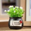 Picture of Mini Car Potted Ornaments Decoration Simulated Flower Pots, Style: Stop Talking Jar
