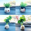 Picture of Mini Car Potted Ornaments Decoration Simulated Flower Pots, Style: Lucky Fruit White Bottle