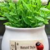 Picture of Mini Car Potted Ornaments Decoration Simulated Flower Pots, Style: Lucky Fruit White Bottle