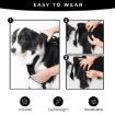 Picture of Pet Harness Vest Type Explosion-proof Dog Leash, Size: M (Black)